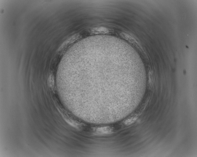 X0000079320173200612151826