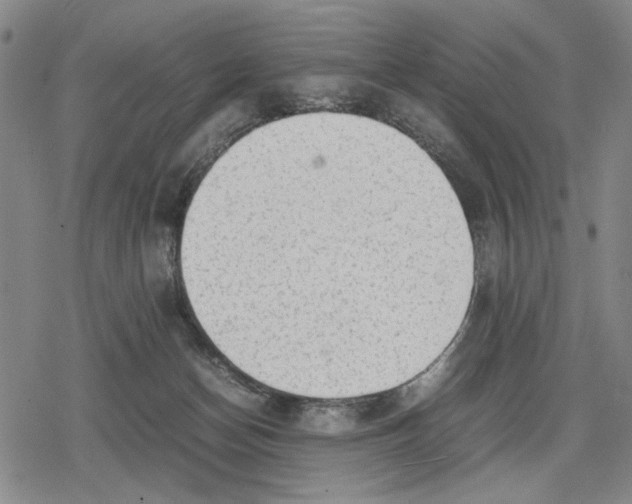 X0000079320174200612151826