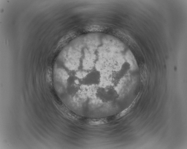 X0000079320175200612151826