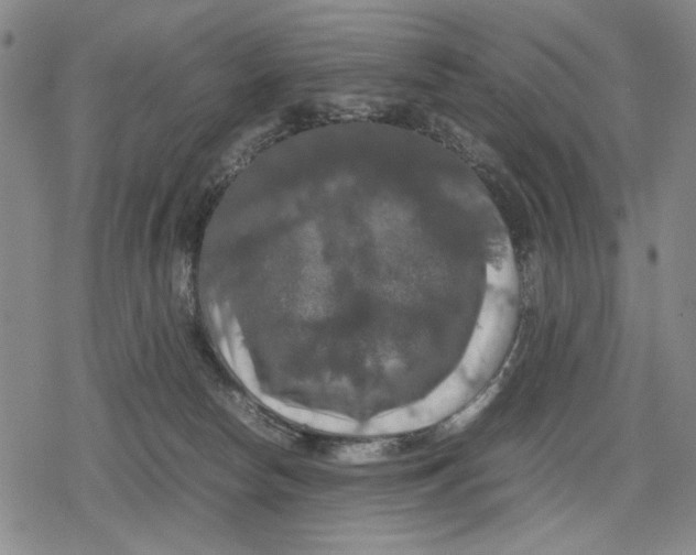 X0000079320178200612151826