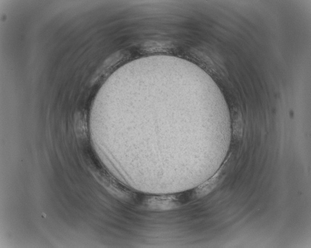 X0000079320179200612151826