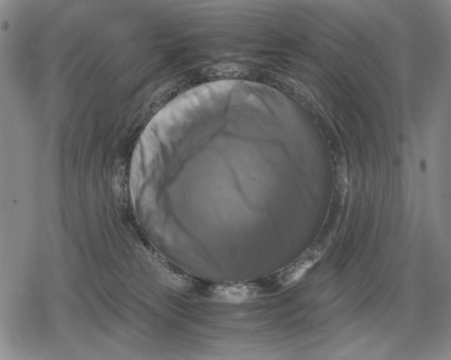 X0000079320181200612151826