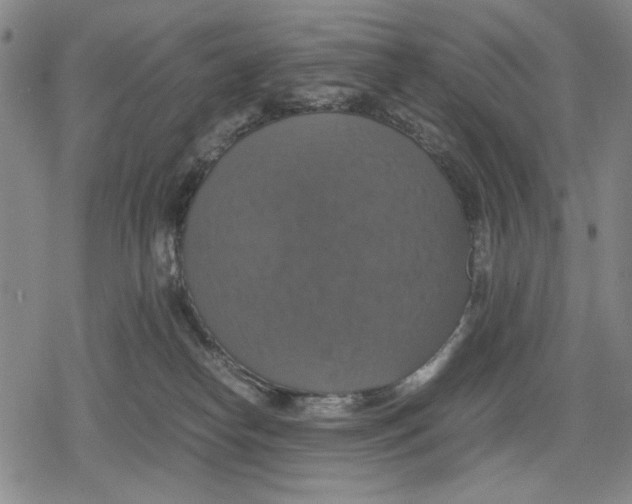 X0000079320182200612151826