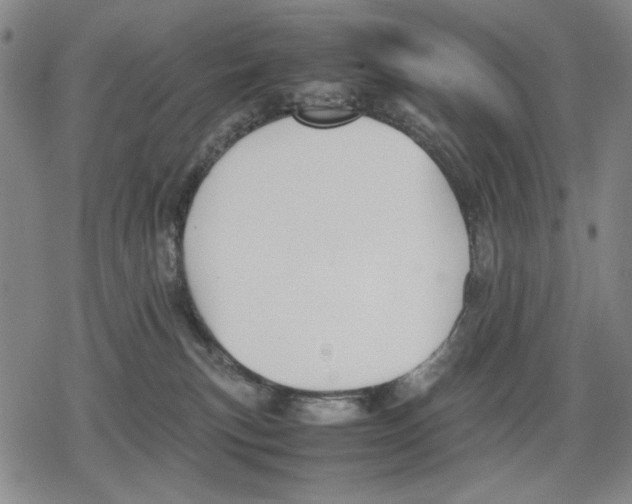 X0000079320183200612151826