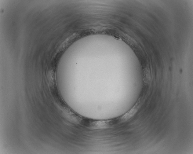 X0000079320184200612151826