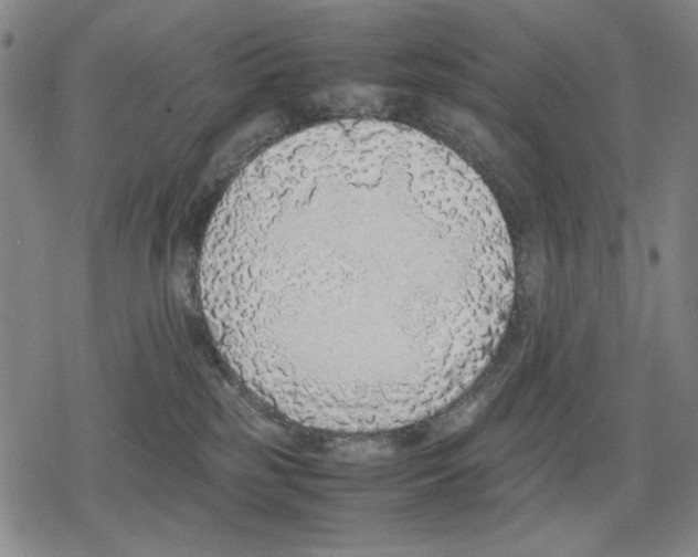 X0000079320185200612151826