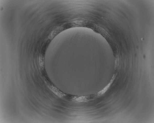 X0000079320186200612151826