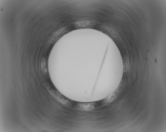 X0000079320187200612151826