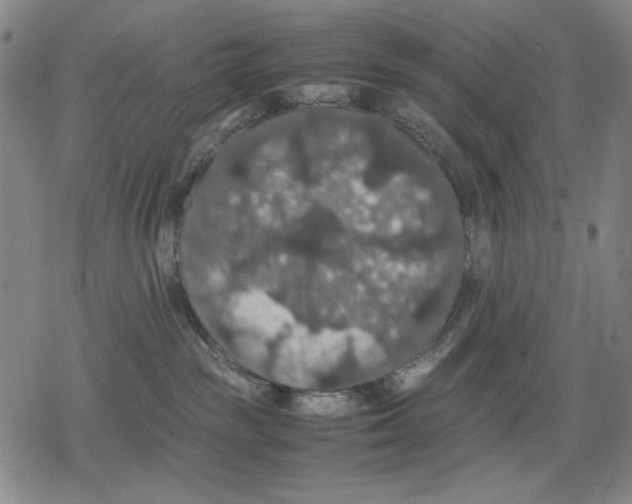 X0000079320189200612151826