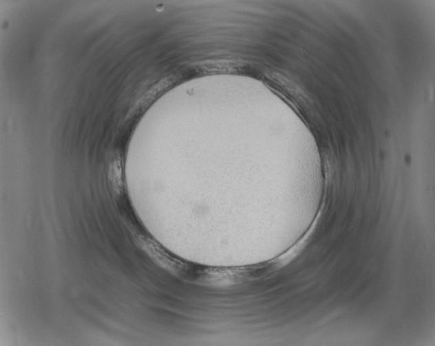 X0000079320190200612151826