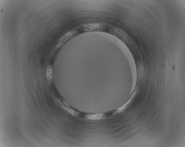 X0000079320191200612151826