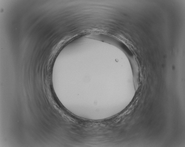 X0000079320193200612151826