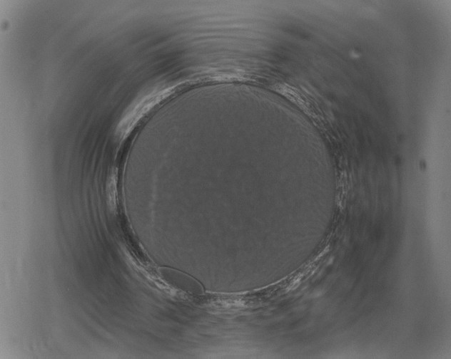 X0000079320194200612151826