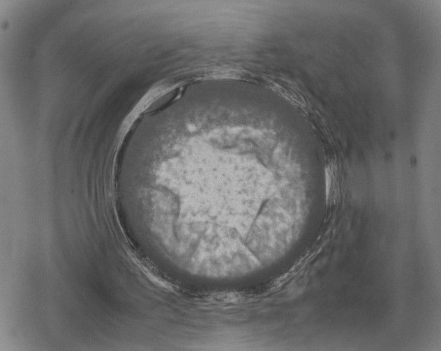 X0000079320195200612151826