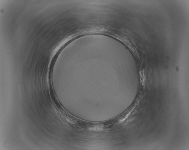 X0000079320196200612151826