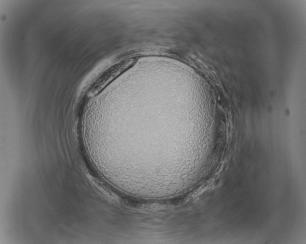 X0000079320197200612151826