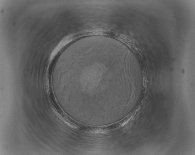 X0000079320198200612151826