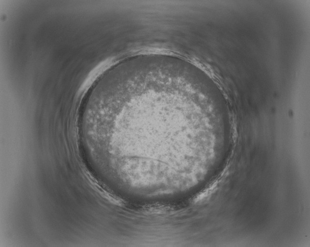 X0000079320199200612151826