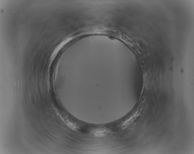 X0000079320200200612151826