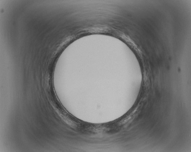 X0000079320201200612151826