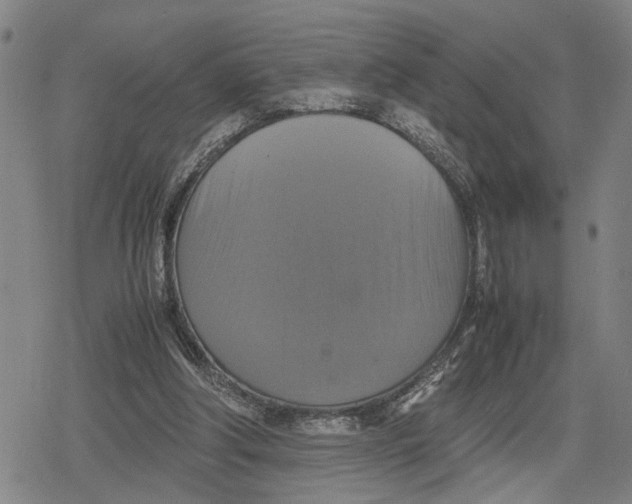 X0000079320202200612151825