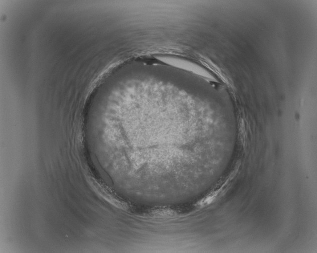 X0000079320203200612151825