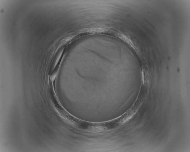 X0000079320205200612151825