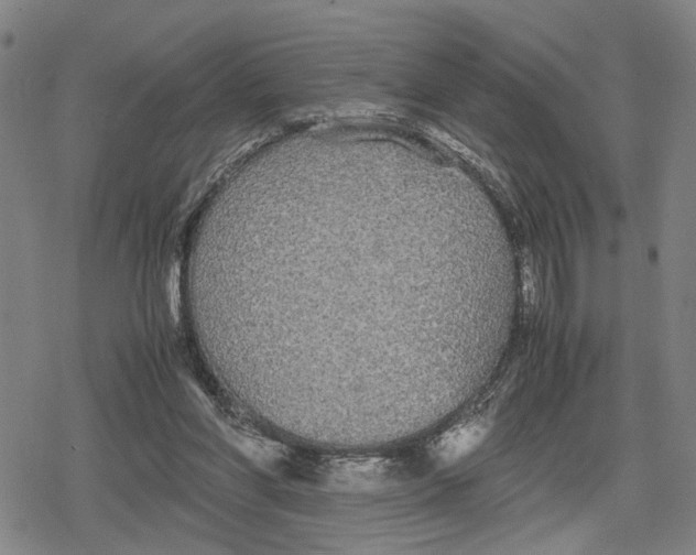 X0000079320206200612151825