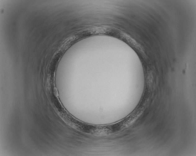 X0000079320209200612151825