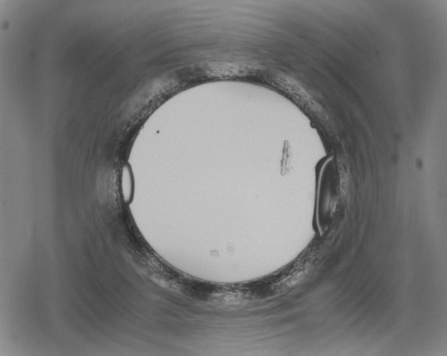 X0000079320211200612151825