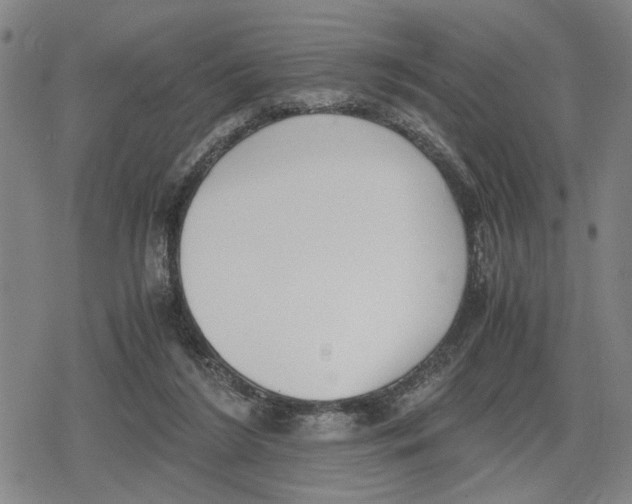 X0000079320212200612151825