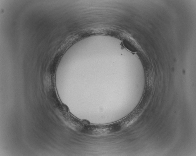 X0000079320213200612151825