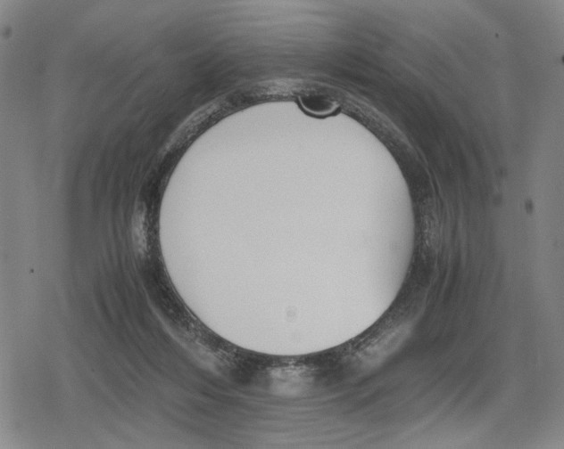 X0000079320216200612151825