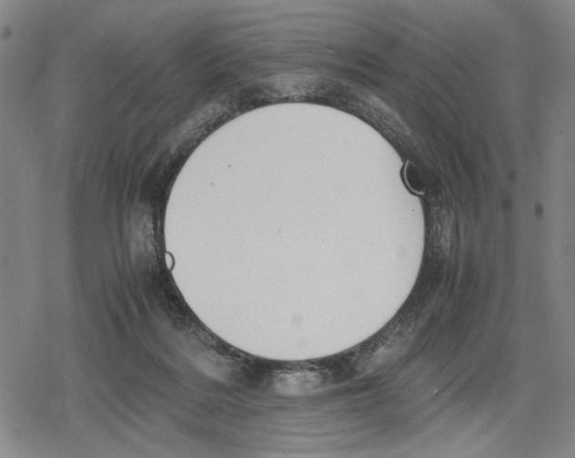 X0000079320220200612151825