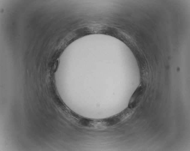 X0000079320221200612151825