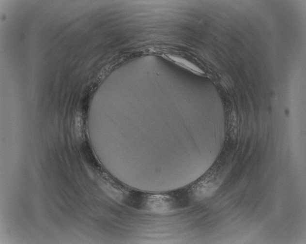 X0000079320222200612151825