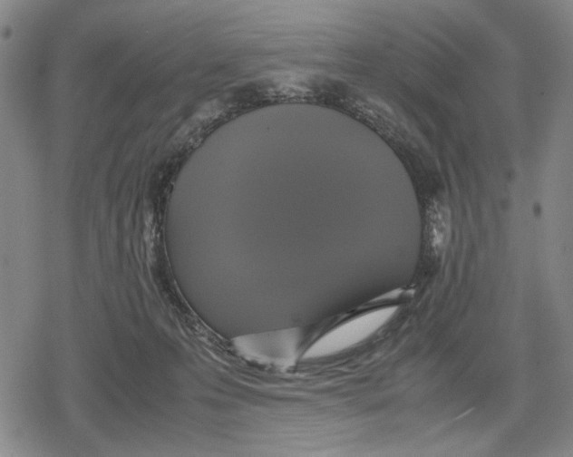 X0000079320223200612151825