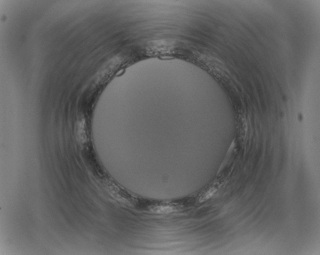 X0000079320224200612151825