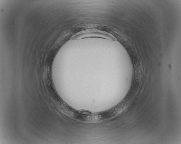 X0000079320225200612151825