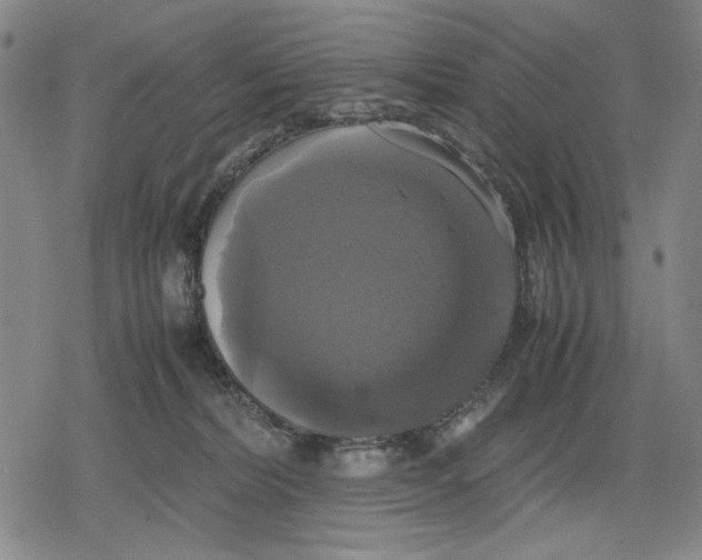 X0000079320228200612151825