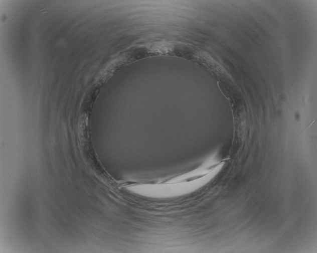 X0000079320229200612151825