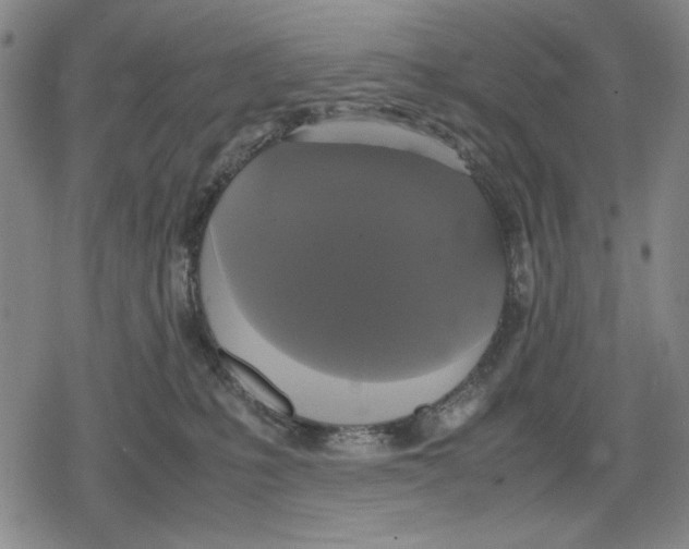 X0000079320231200612151825