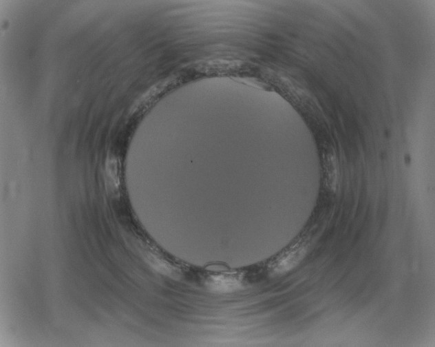 X0000079320232200612151825