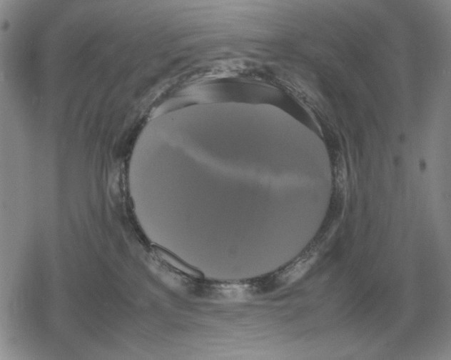 X0000079320233200612151825