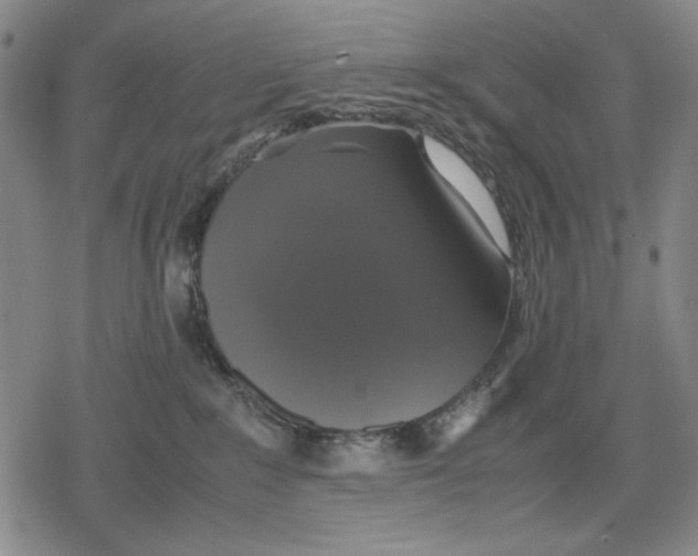 X0000079320235200612151825