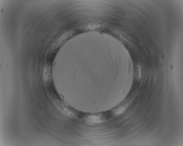 X0000079320236200612151825