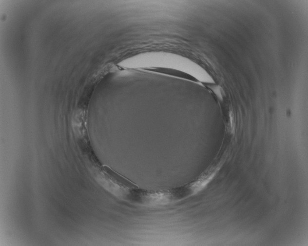 X0000079320237200612151825