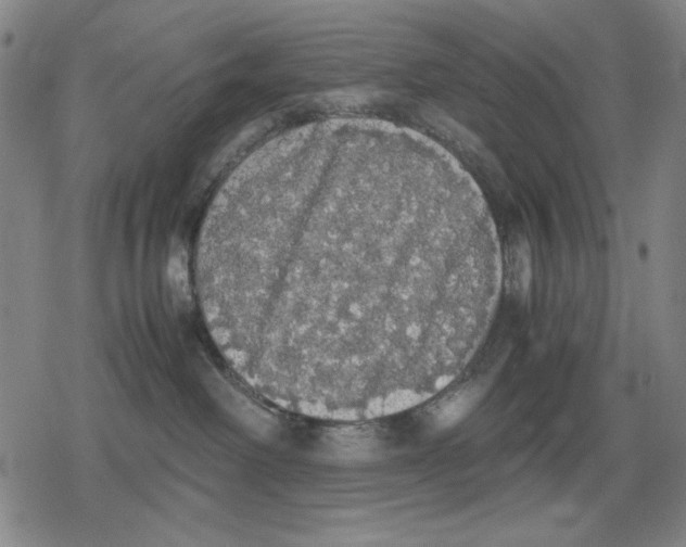 X0000079320238200612151825