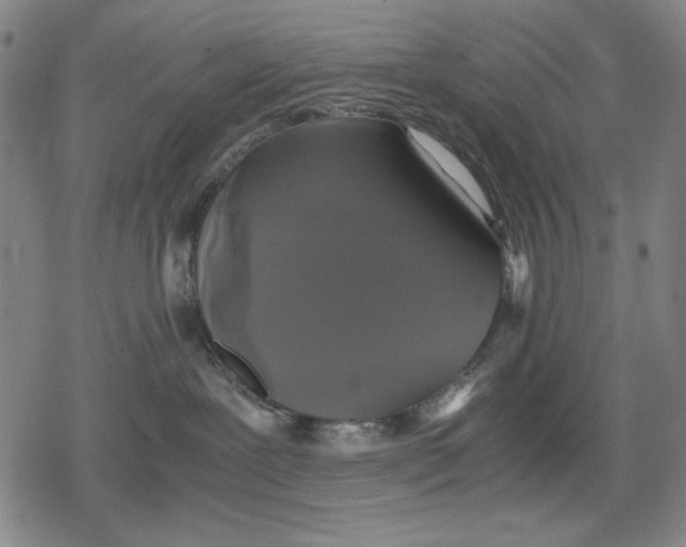 X0000079320239200612151825