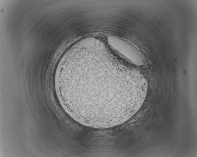 X0000079320241200612151824